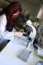 Laboratorio