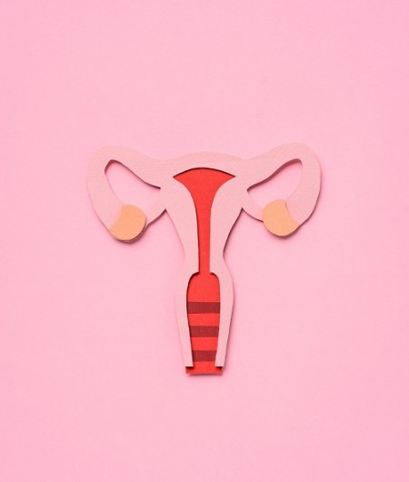 Especialistas en Conización de cuello uterino en Alicante