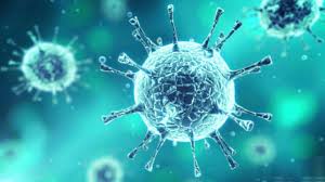 enterovirus