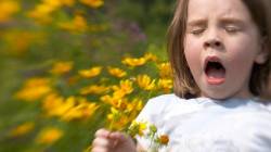 La primavera, los ojos altera