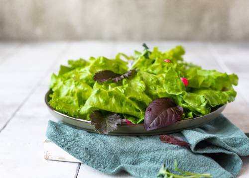 green-salad-made-of-green-leaves-mix-and-micro-gre-2025-01-08-14-22-46-utc