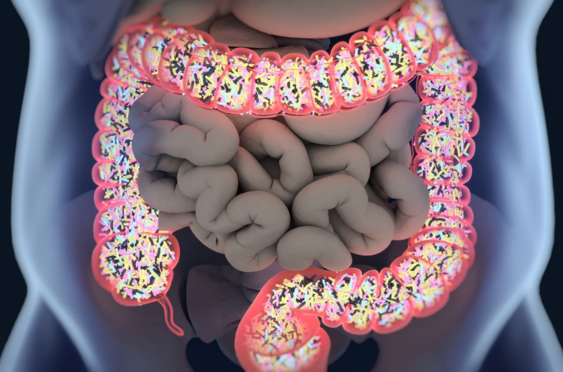 microbiota