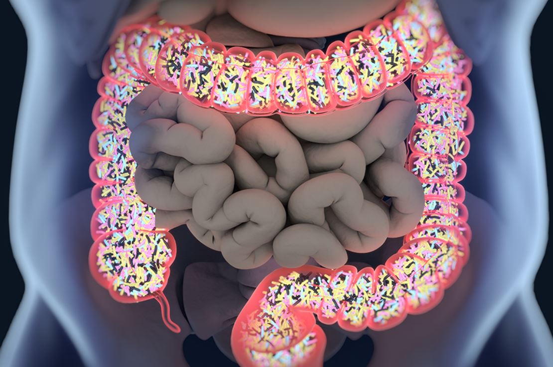 microbiota
