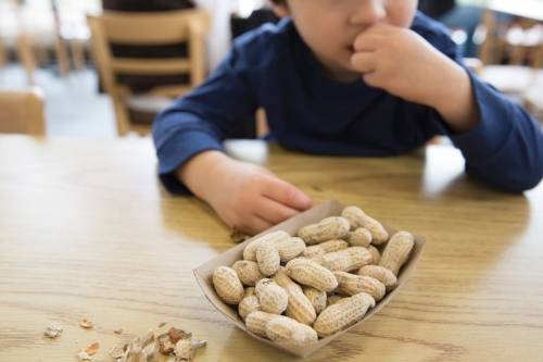 Alergia a los frutos secos