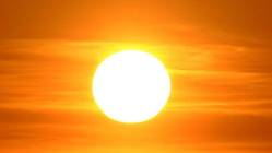 Alergia al verano