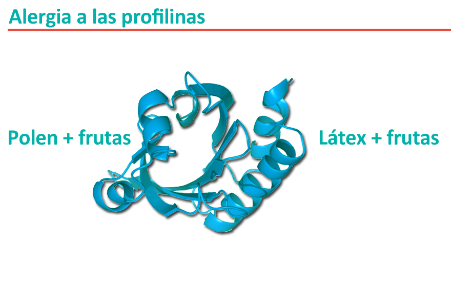 alergia-a-las-profilinas