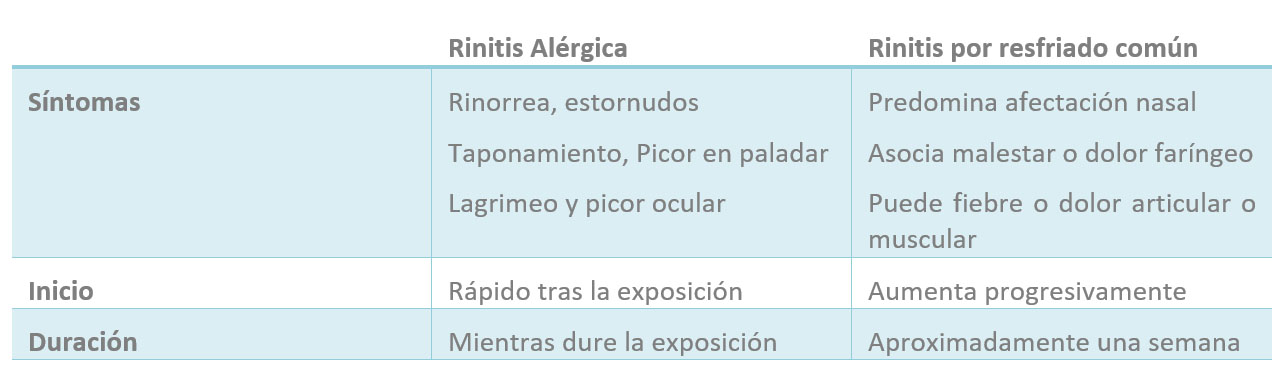 cuadro_rinitis