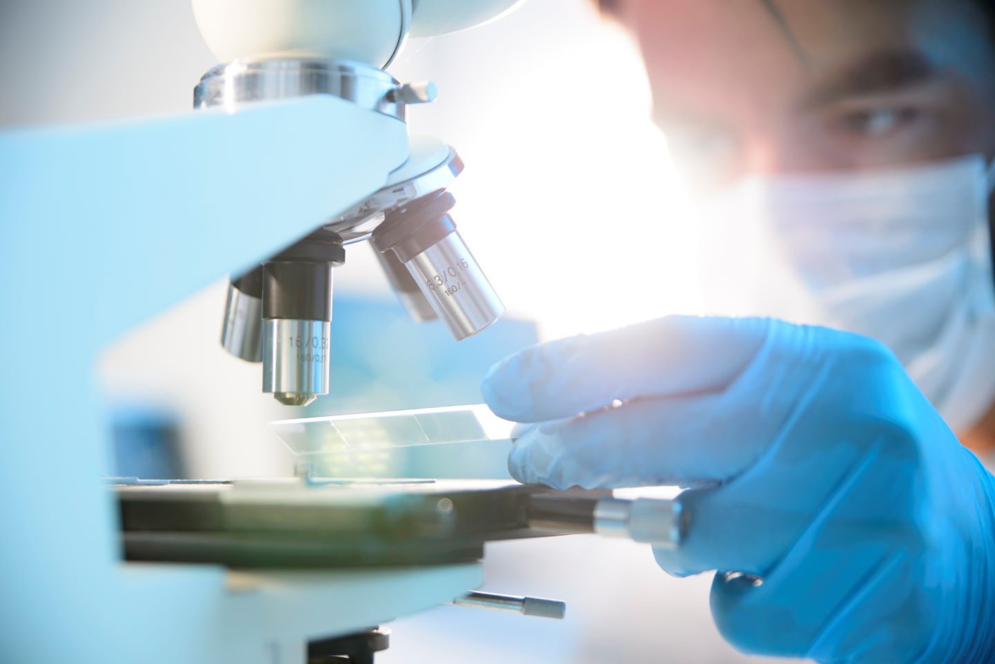 Investigación