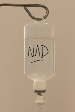 2026 03 26 NAD Intravenoso (2)