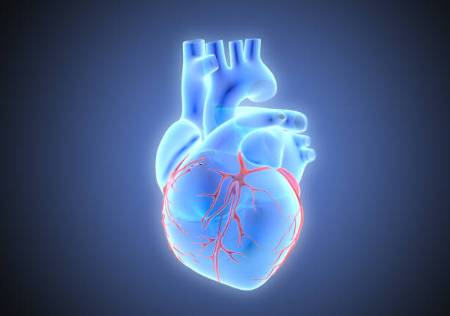 CardioBlog