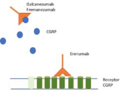 2021 03 26 Anticuerpos monoclonales antiCGRP
