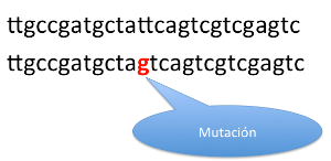 Mutación