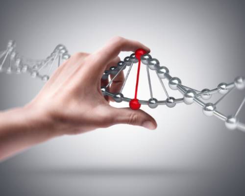 DNA