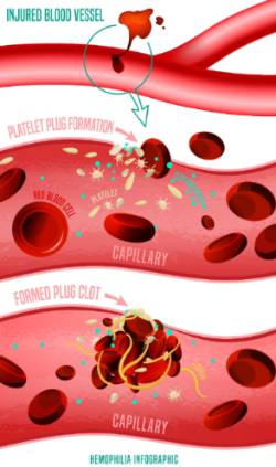 2025 01 08 Anticoagulantes y antiagregantes (1)