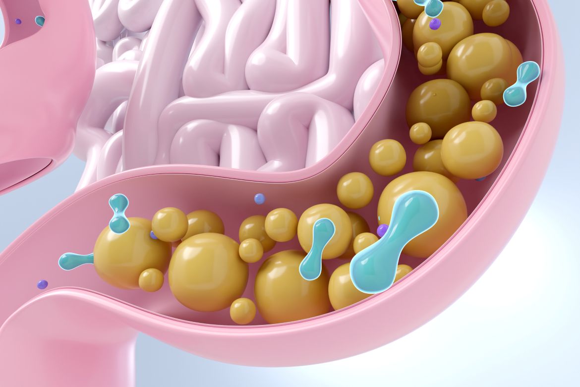 Microbiota