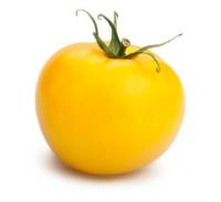 tomate_amarillo