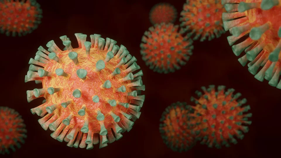 Coronavirus