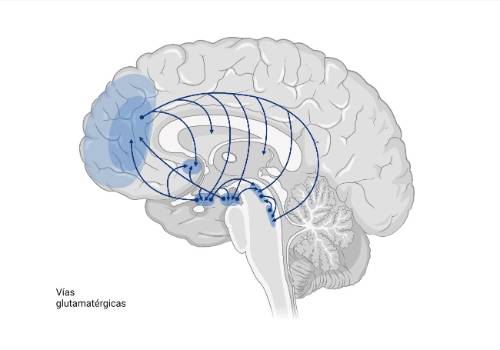 Genética en la epilepsia_7