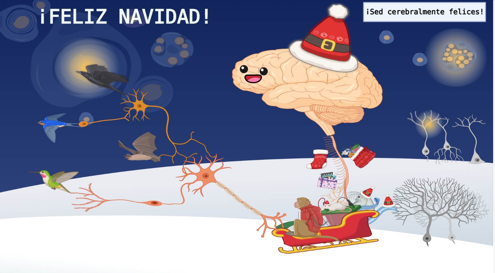 Feliz Navidad