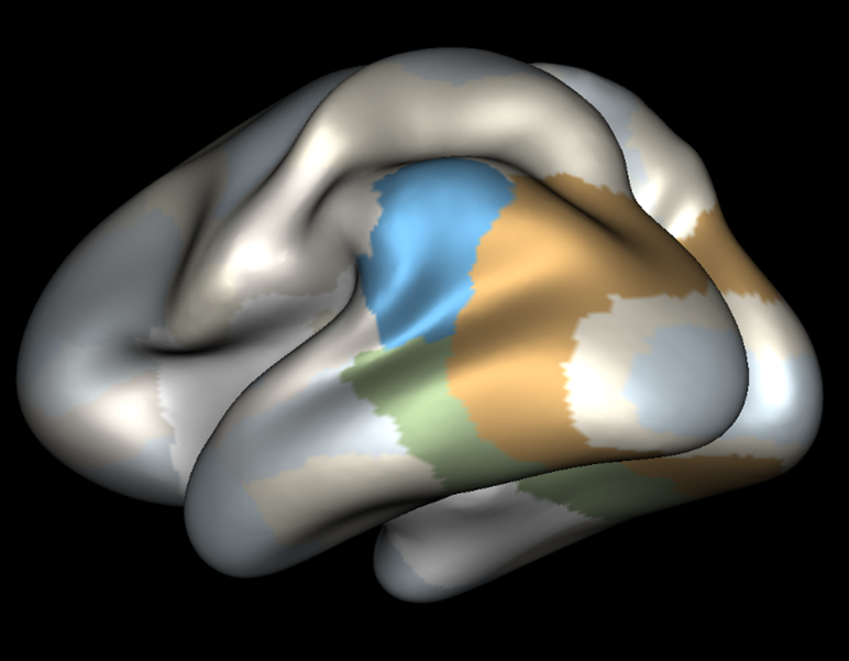 Sinestesia_3