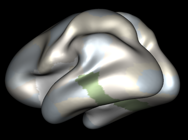 Sinestesia_4