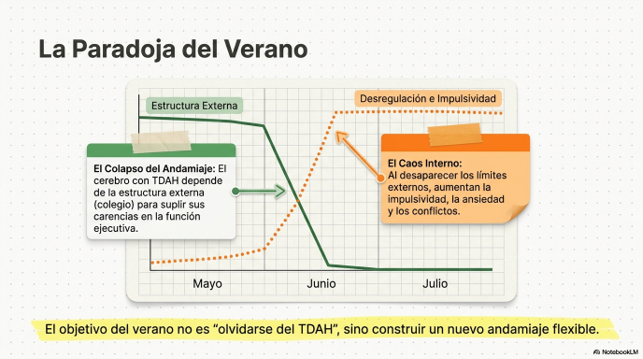 Manejo TDAH verano_3