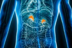 2026 03 02 Cómo se trata la patología de la glándula adrenal