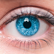 Con mucho ojo