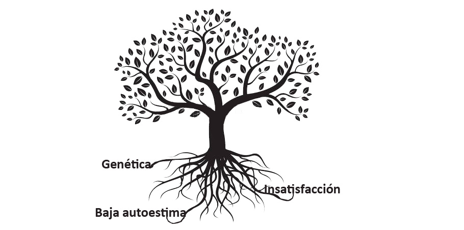 raices de la anorexia