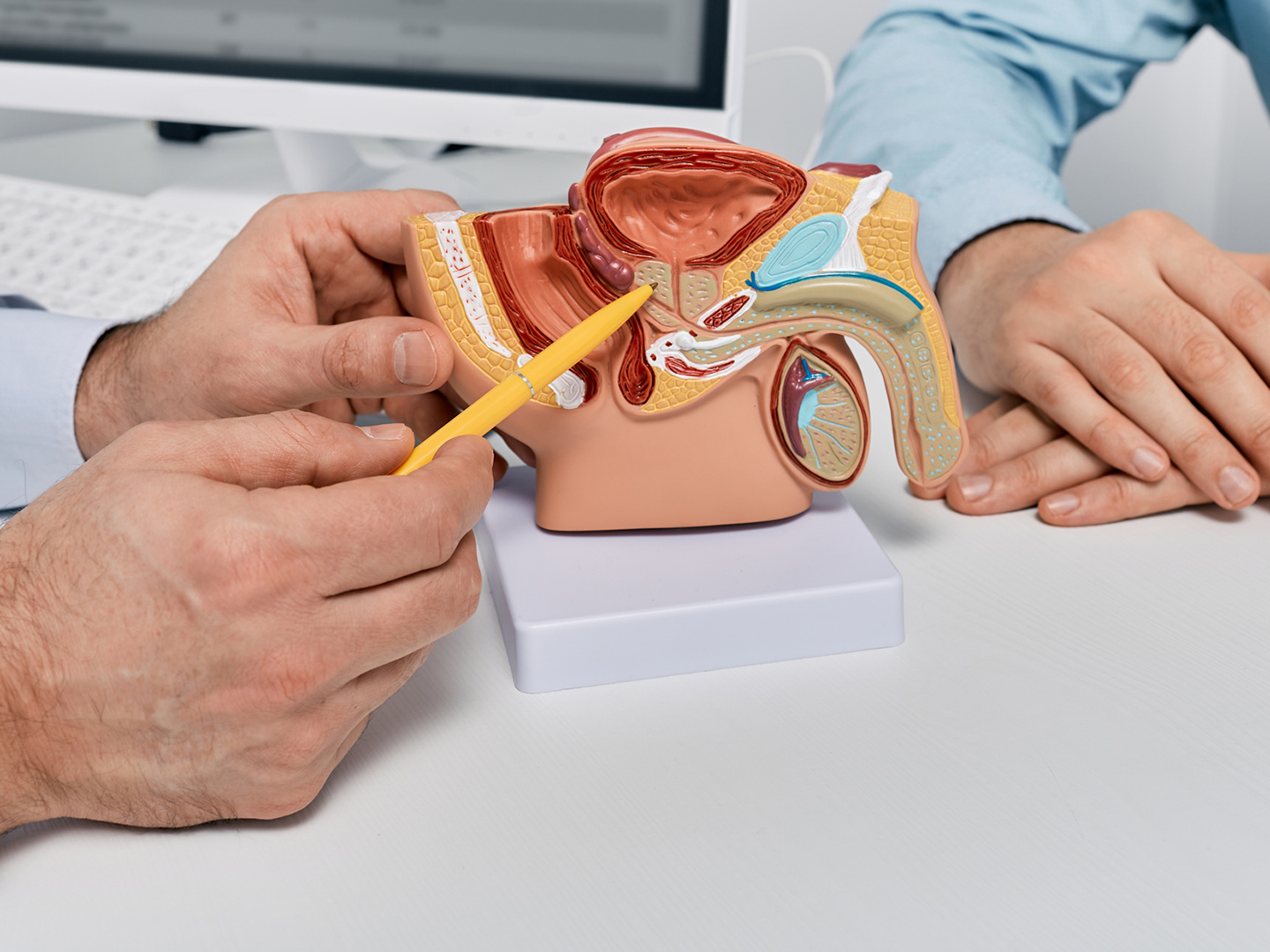 disfunción eréctil web