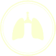 Programa pulmonar