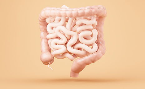 Programa de prevención del cáncer de colon