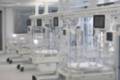 NEONATOLOGÍA 12