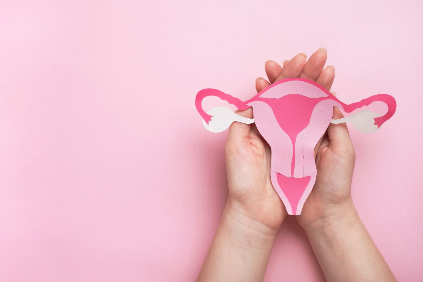 Foto cáncer de ovario web