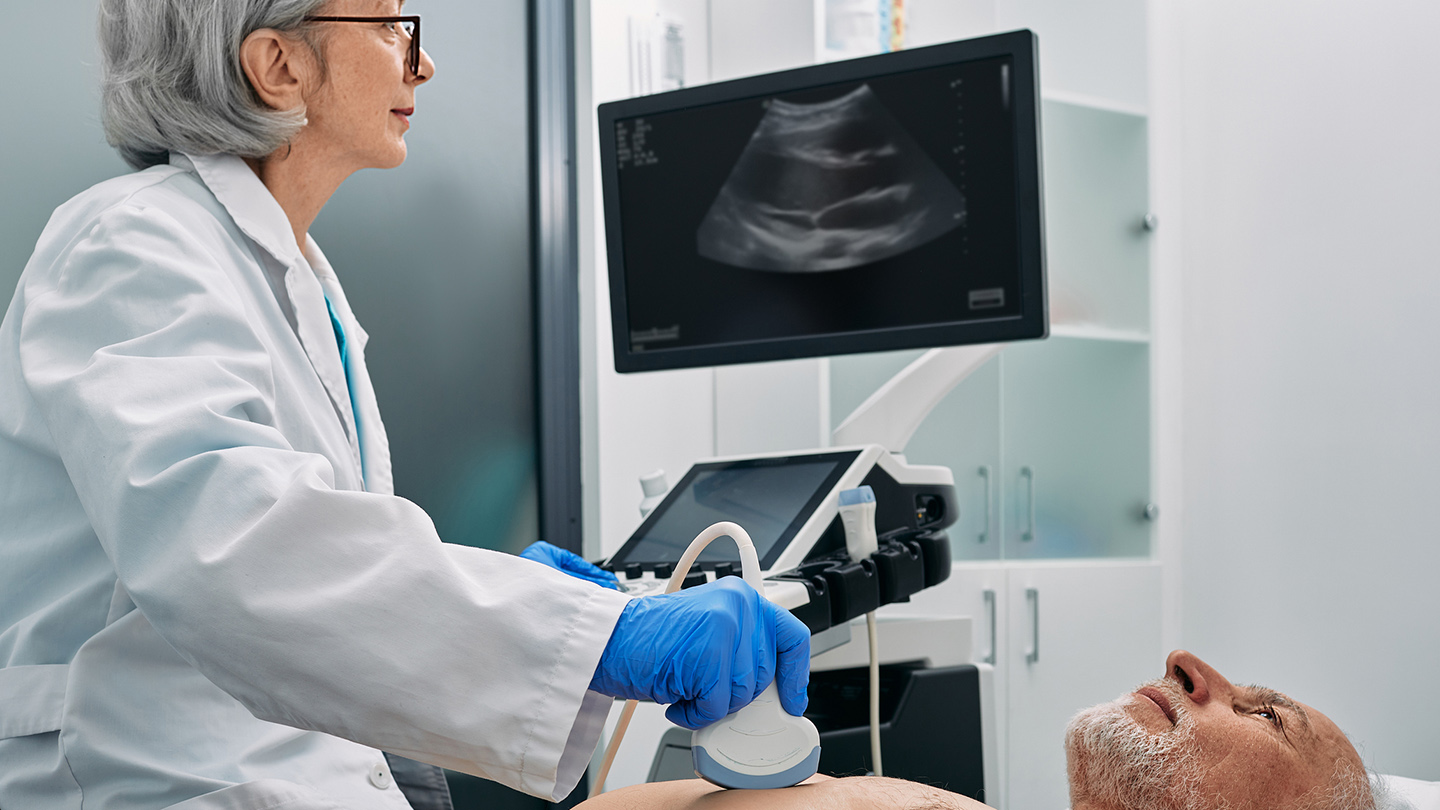 ecocardiografía web