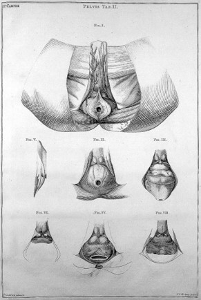 estudio neurofisiologico del suelo pelvico