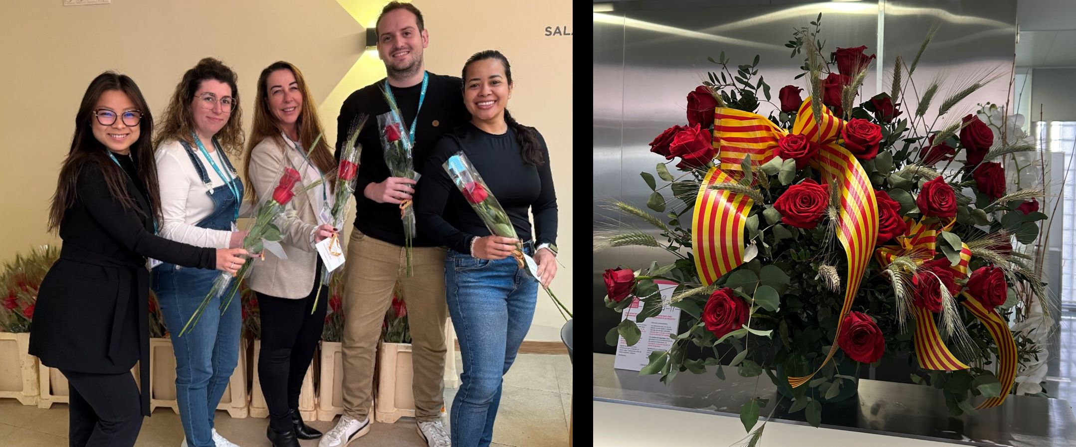 rosas sant jordi