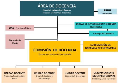 Organigrama docencia cast