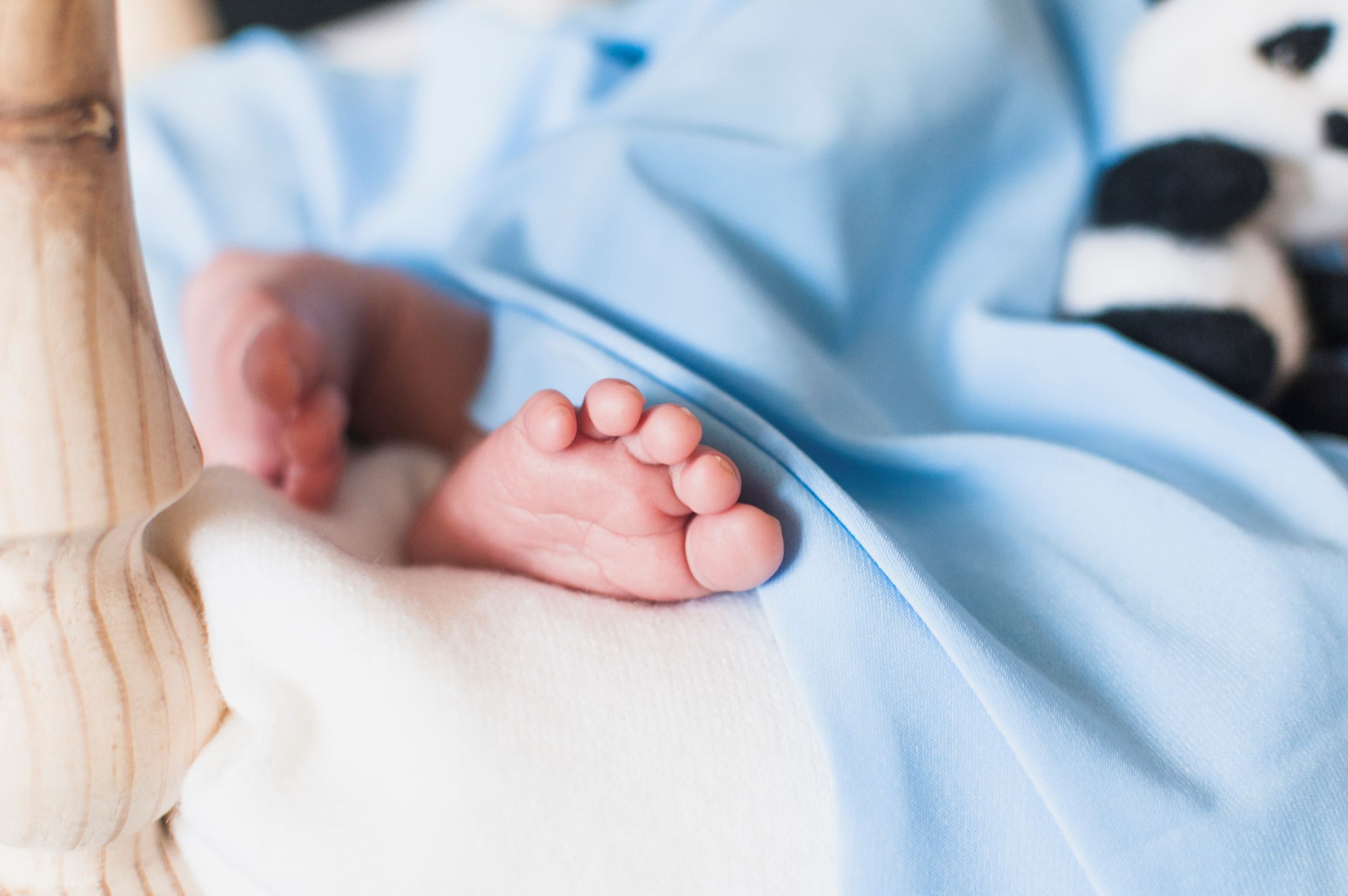 neonatos-european-journalofpediatrics-pediatria-hospital-universitari-dexeus