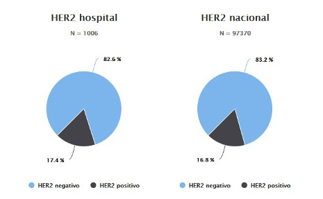 HER2 grafico