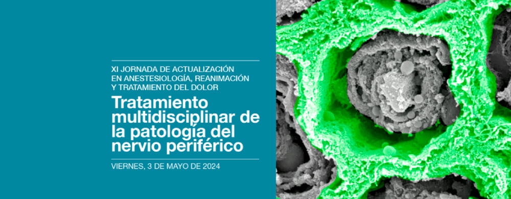 anestesiologia-reanimacion-tratamiento-dolor-evento-dexeus-2024 (1)