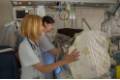 Hospital Universitari Dexeus. UCI neonatal