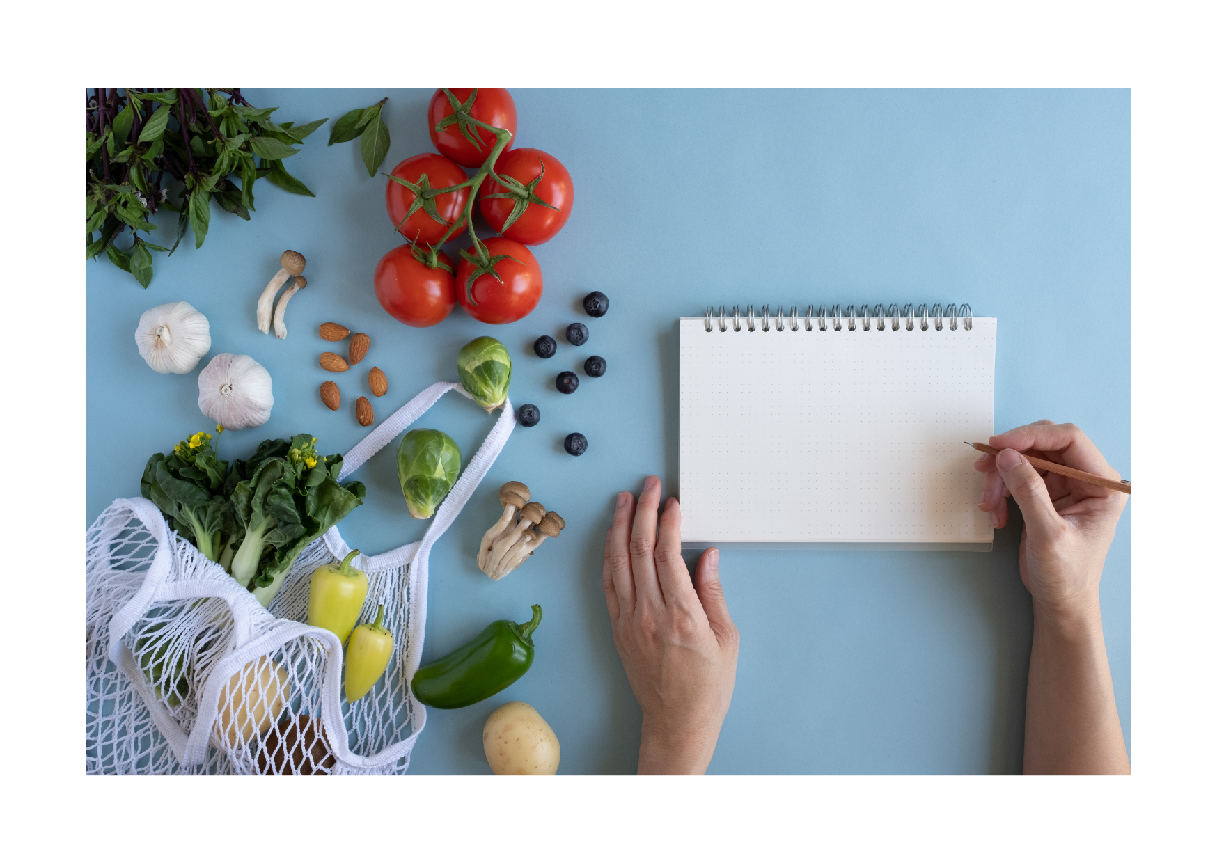 Nutricion y Dietetica 2