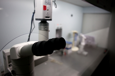 san_sebastian_laboratorio