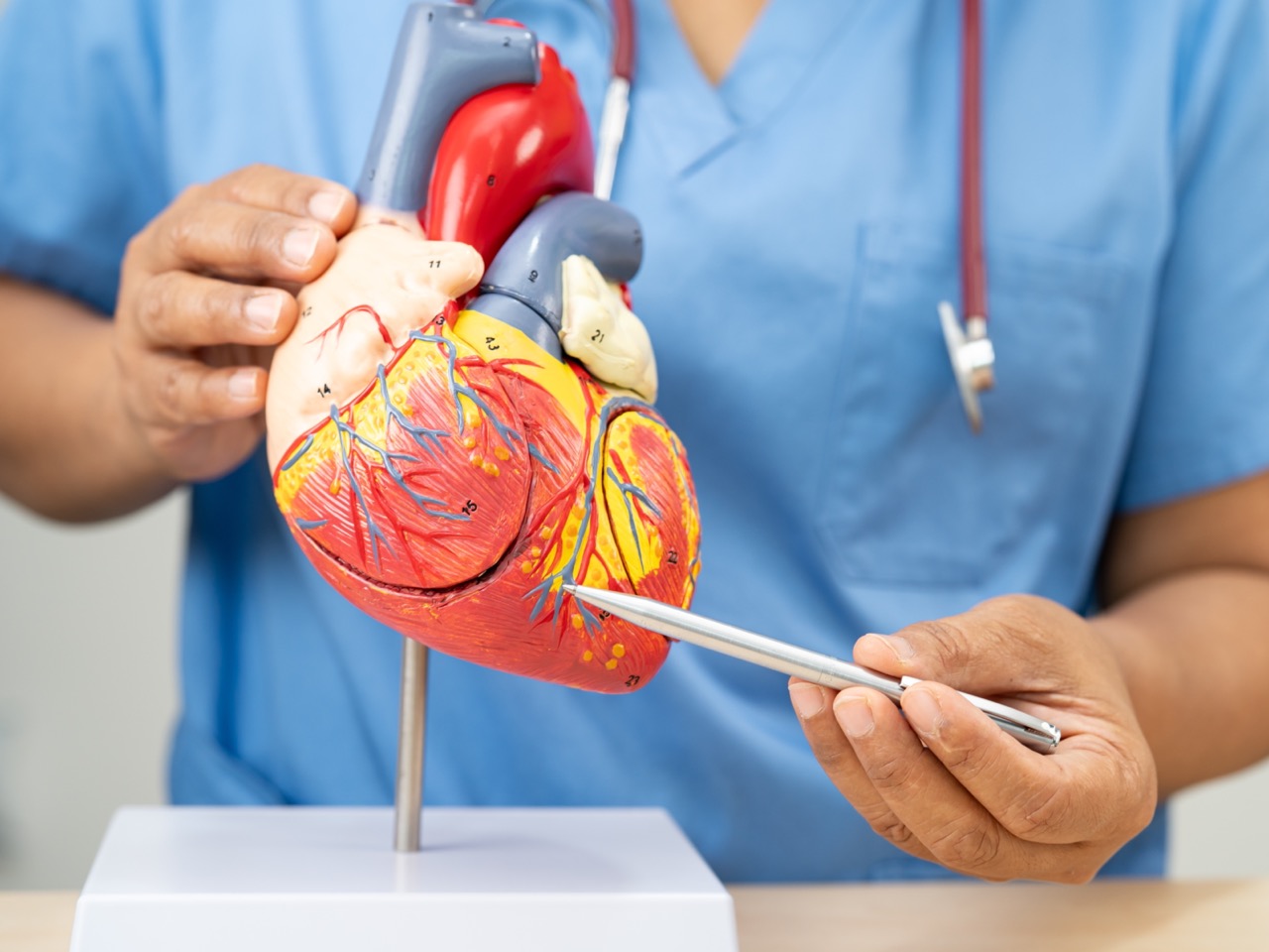 Enfermedad-Cardiovascular-en-tamano-grande