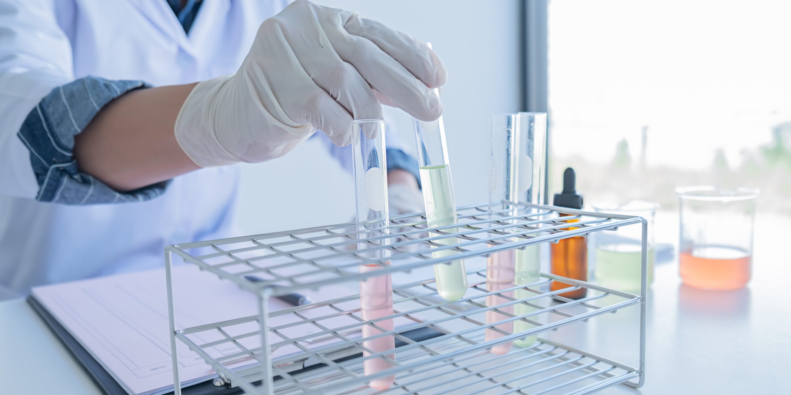 Diseno-sin-titulo-12-scaled