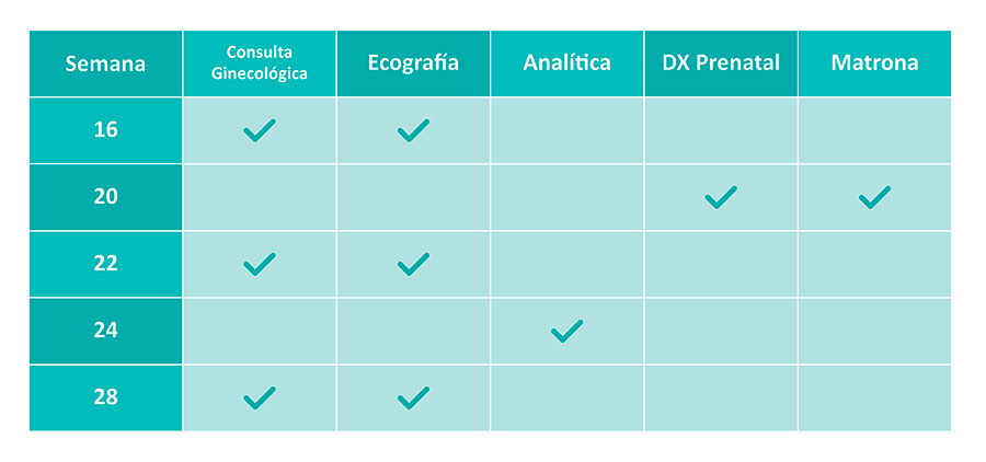La Prueba De Curva Tolerancia Glucosa Embarazo Test Tolerancia
