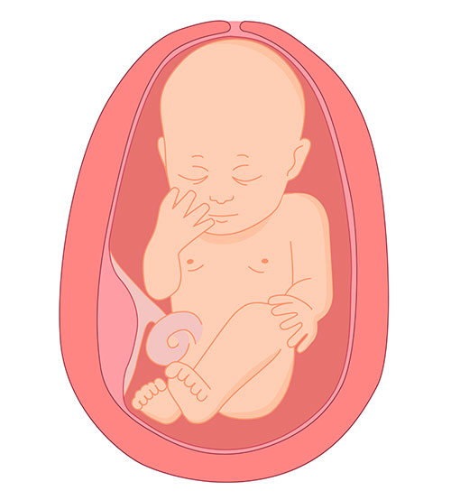 Semana35_Bebe