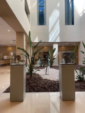 exposición de arte africano El somni africà 5