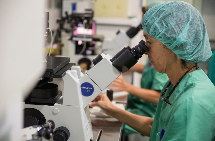 congelacion ovulos crece 50 en 5 anos